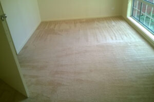 wagga-all-clean-WP_20150304_031