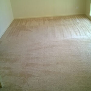 wagga-all-clean-WP_20150304_031