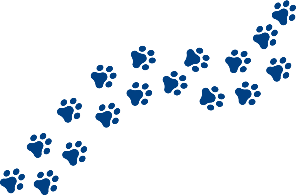 Blue paw print pattern graphic Wagga Vet branding