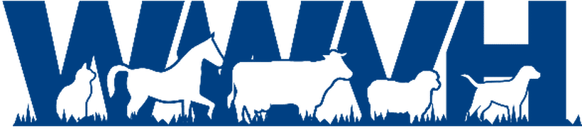 Wagga Wagga Veterinary Hospital skyline logo design