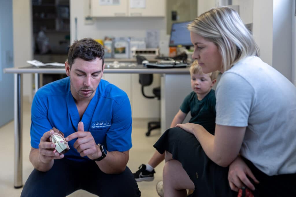 Vet performing dog health check at Wagga Vet clinic