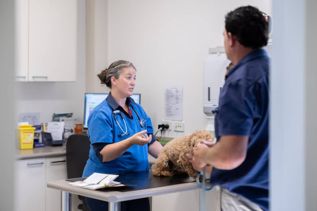 Veterinarians consulting with pet owner at Wagga Vet