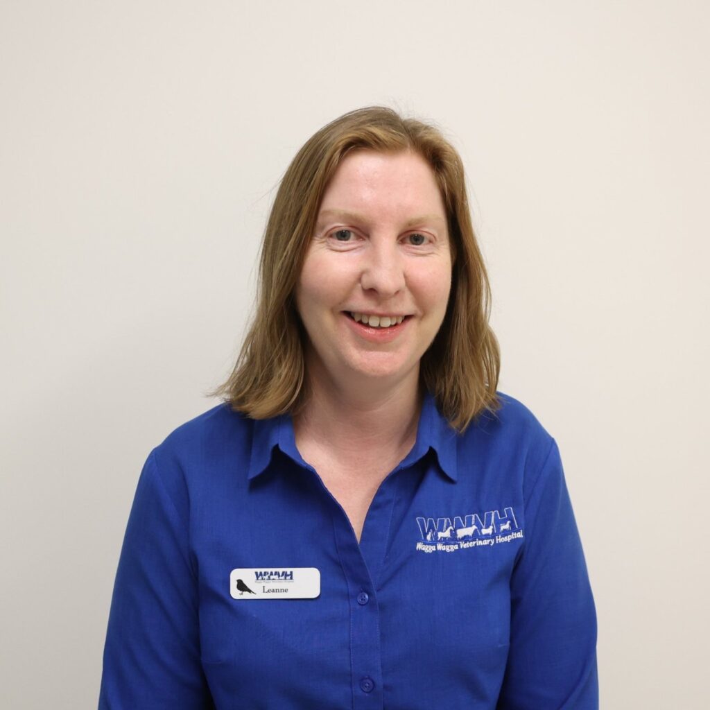 Female veterinarian in blue scrubs at Wagga Vet