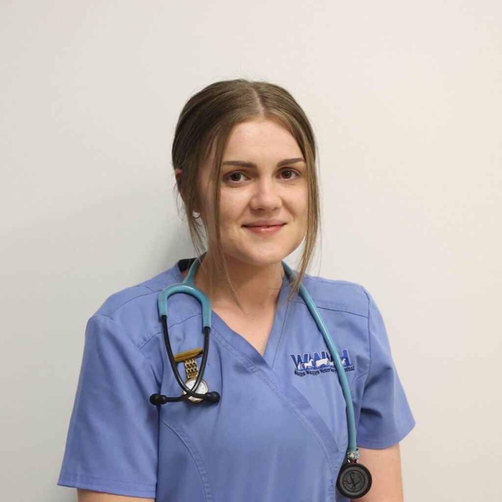 Female vet in scrubs at Wagga Wagga Veterinary Hospital