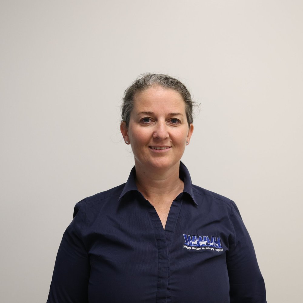 Female veterinarian portrait at Wagga Wagga clinic