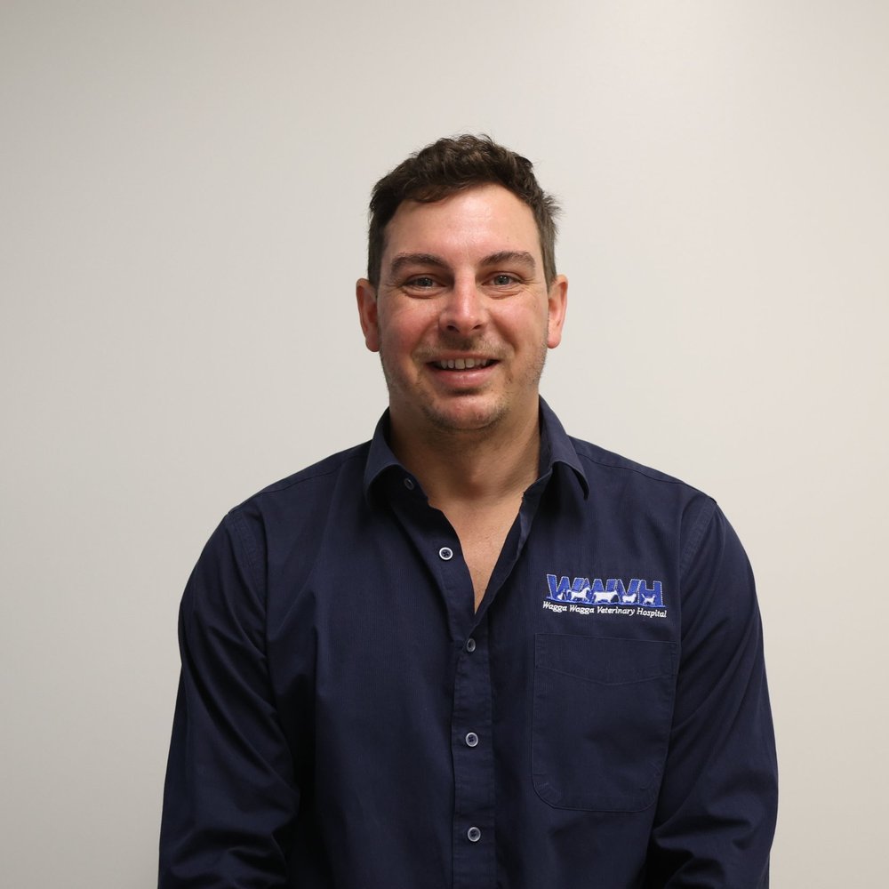 Male veterinarian portrait at Wagga Vet hospital