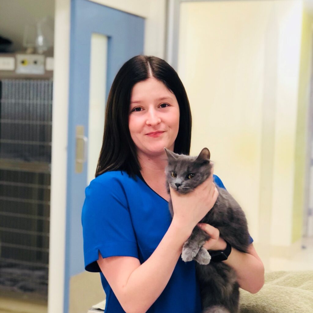 Vet nurse holding black cat at Wagga Vet reception