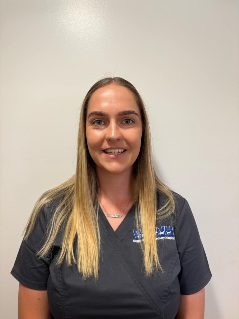 Smiling female veterinarian portrait at Wagga Wagga vet clinic