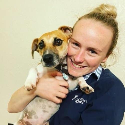 Female vet cuddling puppy at Wagga Wagga clinic