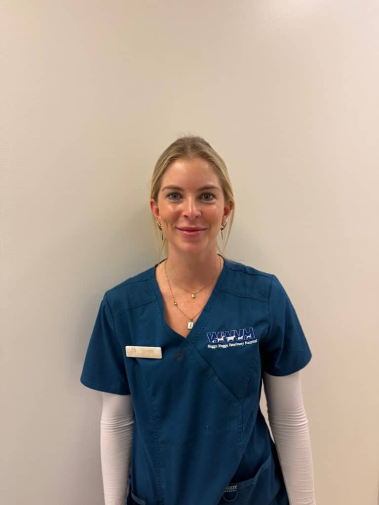 Nurse Jan, professional vet nurse in uniform at Wagga Wagga Veterinary Hospital