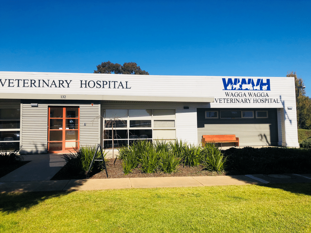 Wagga Wagga Veterinary Hospital modern clinic exterior building