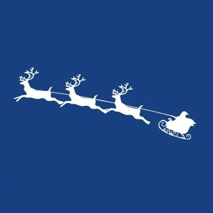 Christmas sleigh graphic for Wagga Vet holiday hours