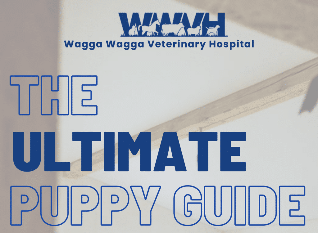Ultimate Puppy Guide ebook cover from Wagga Vet