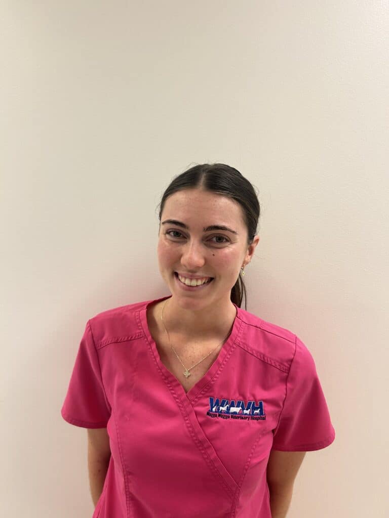 Female veterinarian in pink scrubs at Wagga Vet