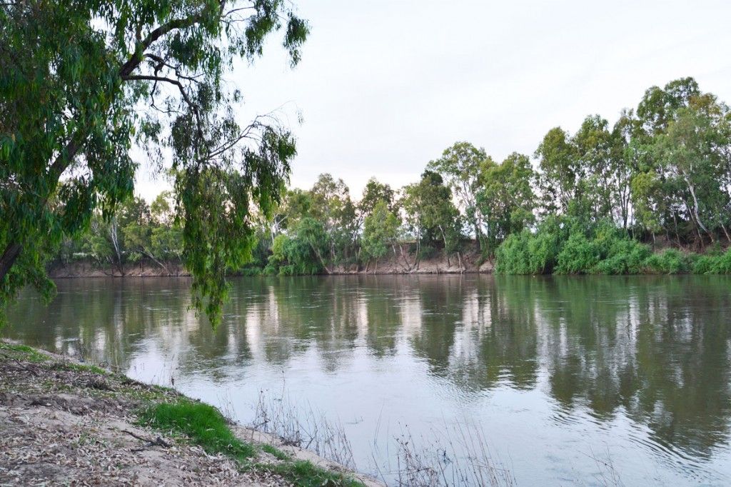 Lake Murrumbidgee view near Wagga Wagga Veterinary Hospital