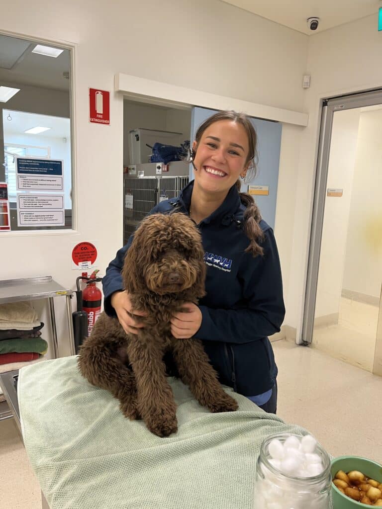 Maya, veterinary team member at Wagga Wagga Veterinary Hospital